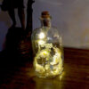Message in the bottle - Paquerette