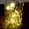 Message in the bottle - Paquerette
